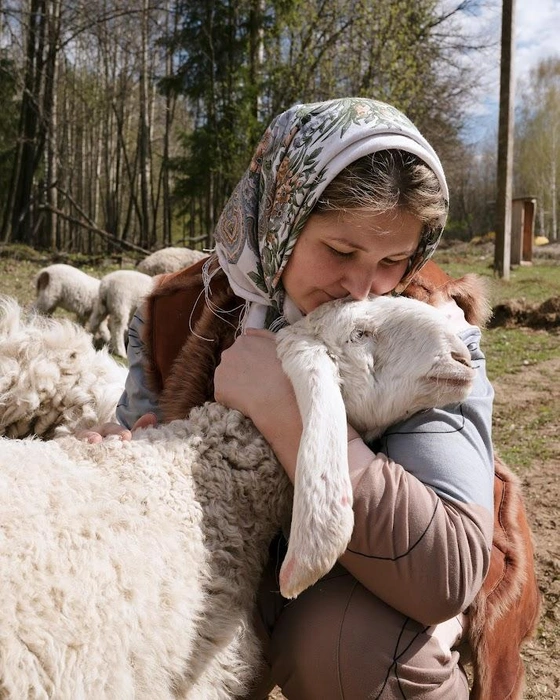 Барашек «Долан» | Источник: Айгуль Гареева