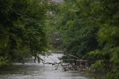 Уровень воды в Подмосковье поднимется на 20-70 см за сутки
