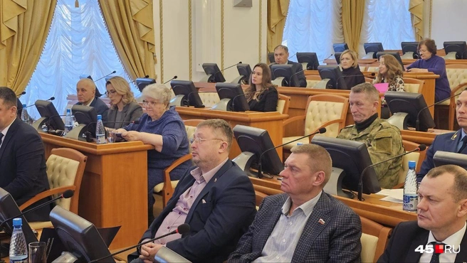 Депутаты говорили, что при обсуждении взаимоотношений в семье нужно учитывать большое количество факторов | Источник: Дарья Никитченко / 45.RU