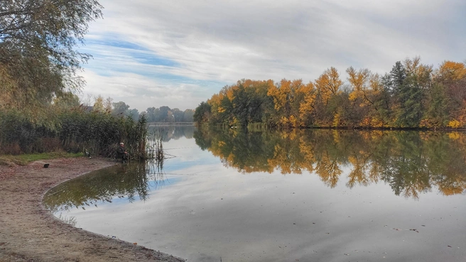 На озере часто можно встретить плавающих по нему лебедей | Источник: Ирина Голоколенова