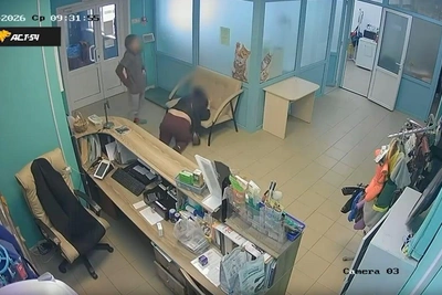 Опровержение ветклиники: собака не умирала, подано заявление в полицию