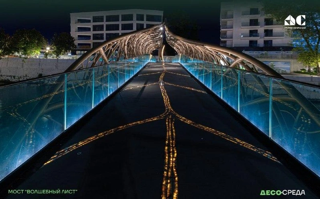 Проект представлен сразу в двух номинациях: «Городская световая среда» и «Парковое и ландшафтное освещение». | Источник: Десо /telegram