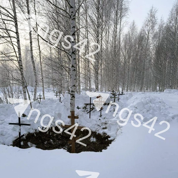 Источник: NGS42.RU 