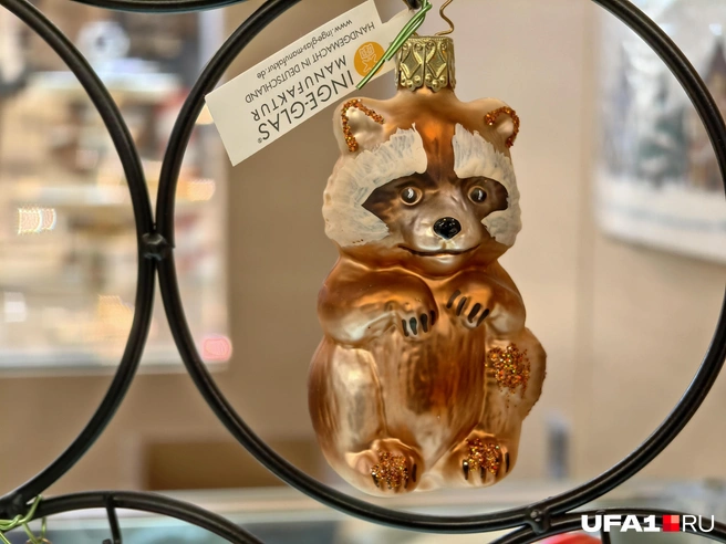 Еноты обычно зимой спят | Источник: Булат Салихов / UFA1.RU