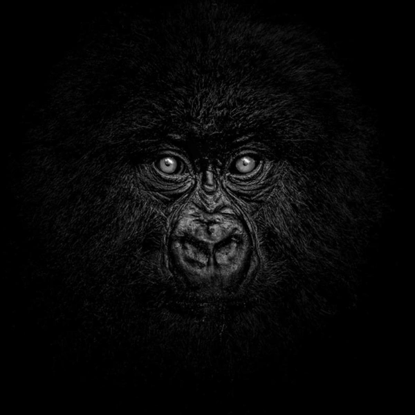 Источник: Raffi Bashlian / Exposure One Awards 2025