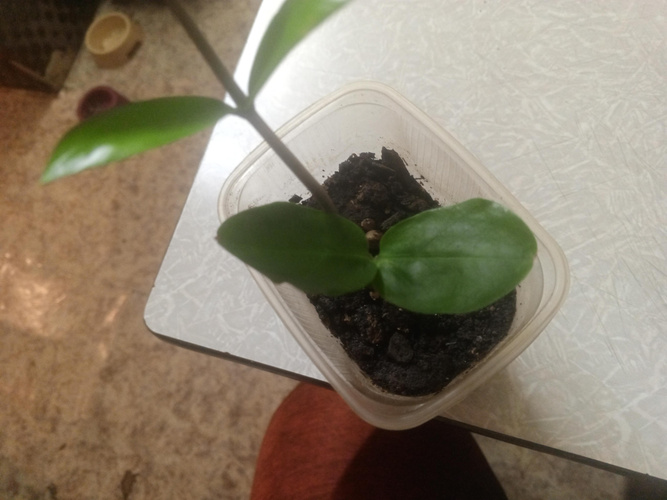 Изображение пользователя