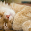 userpic__Юлианна