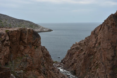 Присоединение Гренландии к США: влияние на Архангельскую область