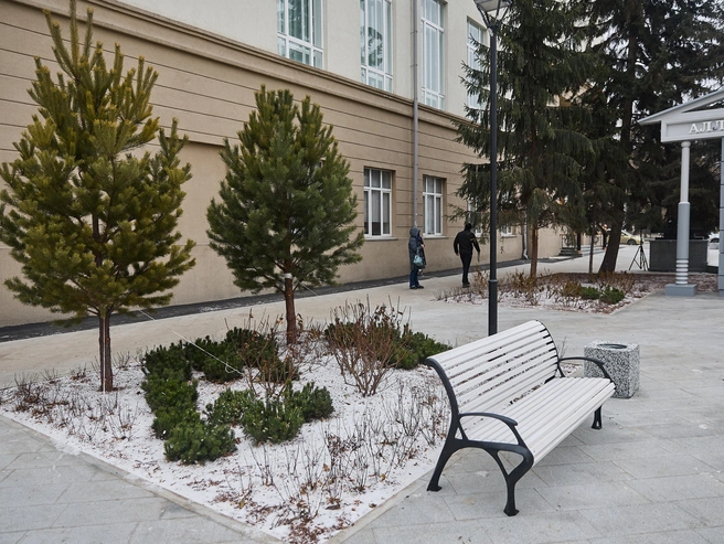 Возле памятника разместили новые скамейки и провели озеленение. | Источник: Александр Ощепков / NGS.RU