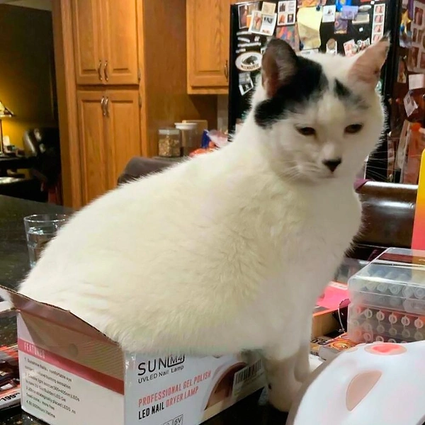 Источник: соцсети