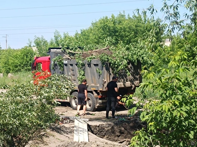 В работам во восстановлению приступили 12 июня | Источник: пресс-служба администрации Барнаула