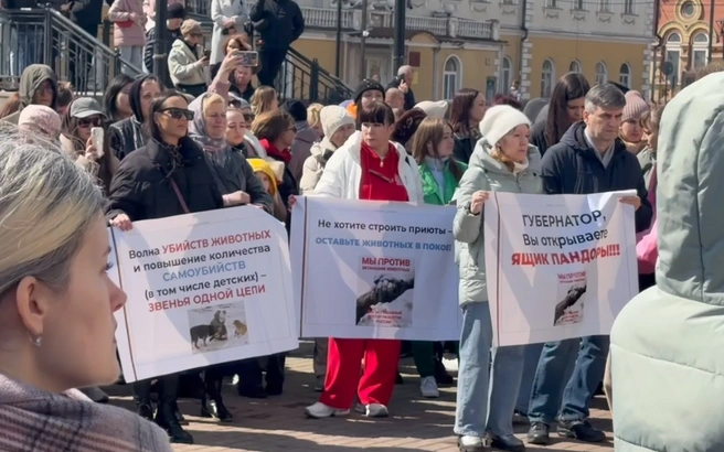 «Остановите беспредел». В Иркутске прошел митинг против закона об эвтаназии бездомных животных | Источник: Питомник К-9 / MAX