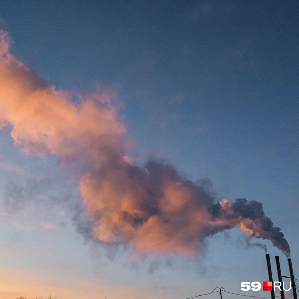 Дым кажется живым организмом | Источник: Тимофей Калмаков / 59.RU