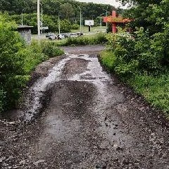 Источник: www.city-n.ru