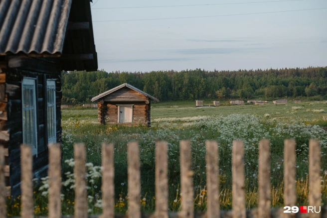 Источник: Иван Митюшёв