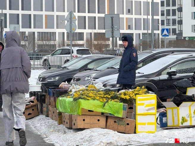 С приходом нового мэра власти стали активнее бороться с нелегальными торговцами | Источник: читатель 72.RU