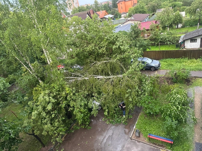 Источник: Подслушано | Истра / T.me