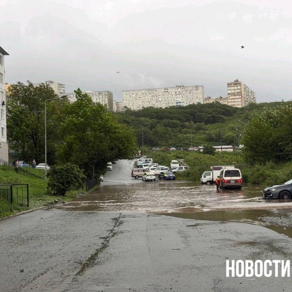 Источник: Новости VL.ru | Владивосток