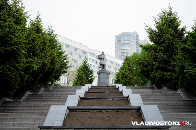 Теперь городу придется высаживать все заного | Источник: Елена Буйвол / VLADIVOSTOK1.RU