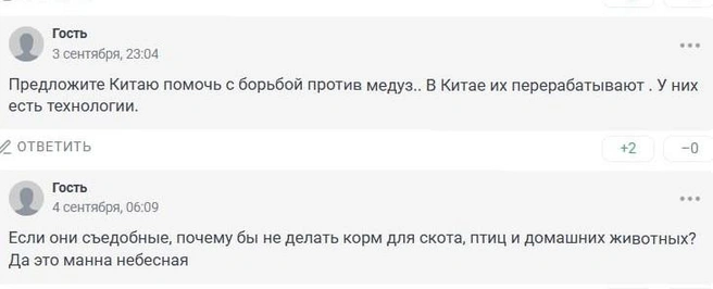 Источник: 161.RU