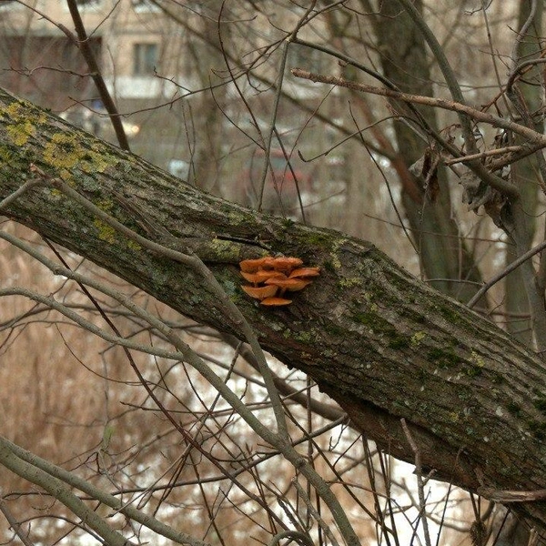Источник:  Павел Глазков/ «Каждой твари по паре» 