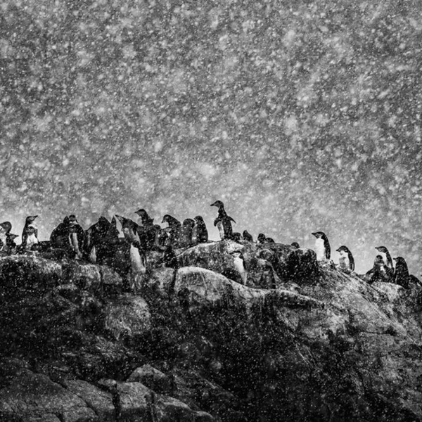 Источник: Michel Groleau / Exposure One Awards 2025