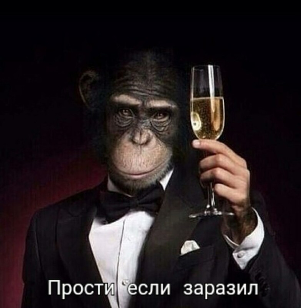 Лучшие шутки и мемы про оспу обезьян
