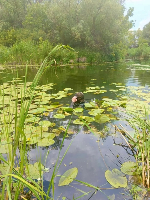 Это уже не первая смерть в воде за это лето | Источник: ГКУ Служба спасения