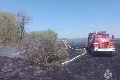 Орловские пожарные совершили 43 выезда за сутки