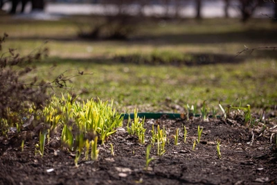Новосибирцам предсказали теплый апрель с долгим снежным покровом