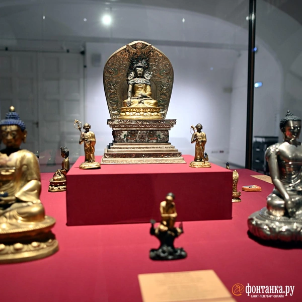 Источник: Илья Снопченко / «Фонтанка.ру»