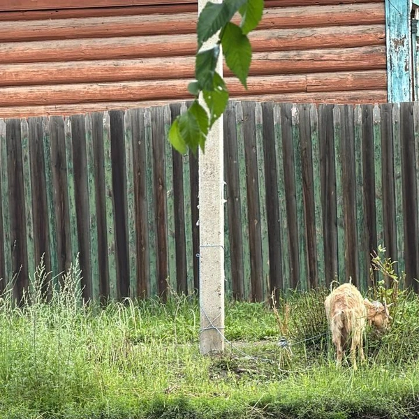 Источник: очевидец