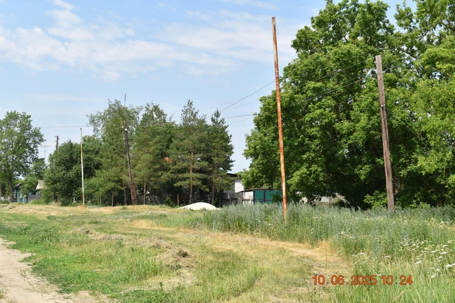 Для городских дачников&nbsp;— идеальное место отдыха | Источник: Светлана Смирнова