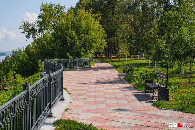 В сквере много лавочек для отдыха | Источник: Тимофей Калмаков