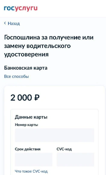 Проще оплатить онлайн через «Госуслуги», просто введя данные банковской карты | Источник: 72.RU