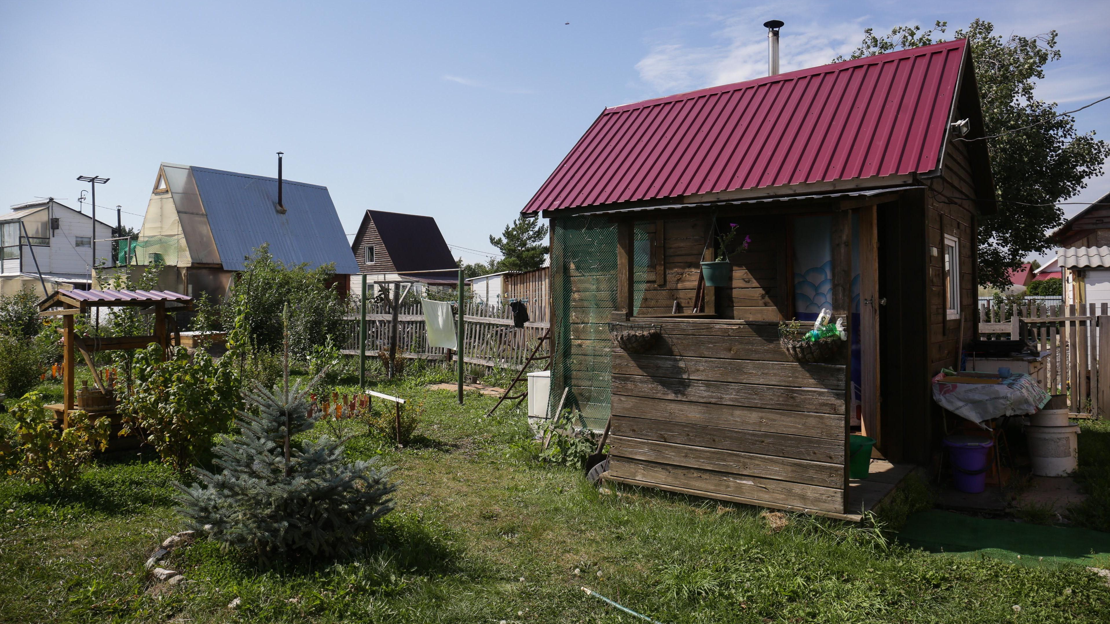 Никаких гербицидов: как избавиться от сорняков на огороде быстро и без химии