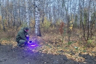 Раскрыто убийство 36-летней давности в Губахе