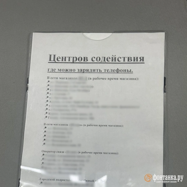 Источник: Милена Солдатенко / FONTANKA.RU