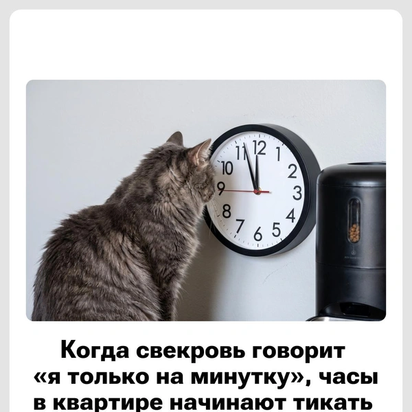 У вас так же? | Источник: Юрий Скулыбердин / Городские медиа