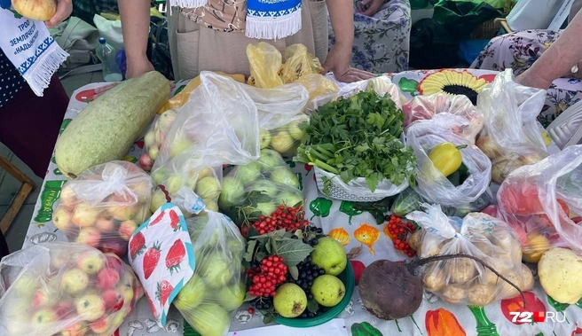 В этом подворье яблоки продавали по 100 рублей | Источник: Радик Енчу / 72.RU