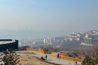 Крупные пожары в Приморье охватили свыше 750 гектаров