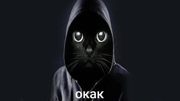 «Окак»: что значит новый мем с черным котом в капюшоне | Источник: Соцсети