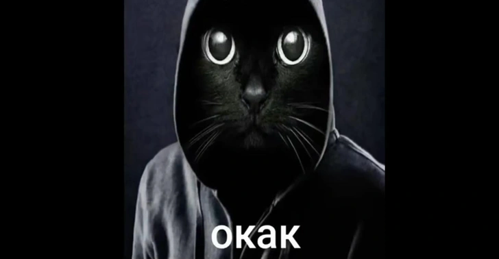 Что за мем «окак» и почему это смешно | Источник: соцсети