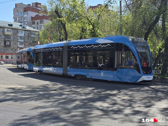 Красота у Детского парка | Источник: Семен Коротов-Майбах / 164.RU