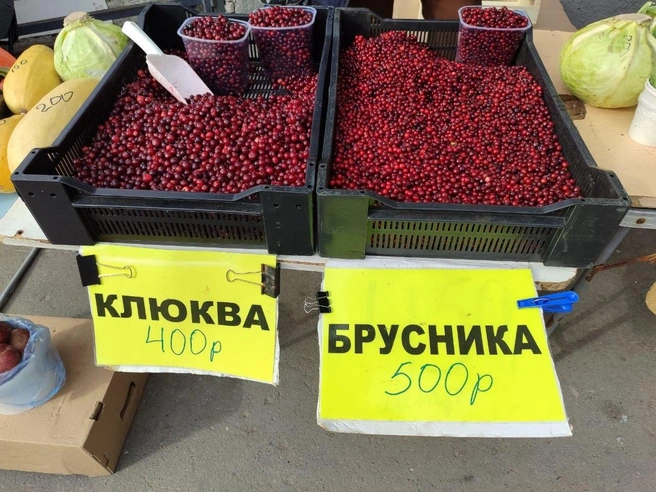 Бруснику привозят из Венгерова | Источник: Мария Тищенко / NGS.RU