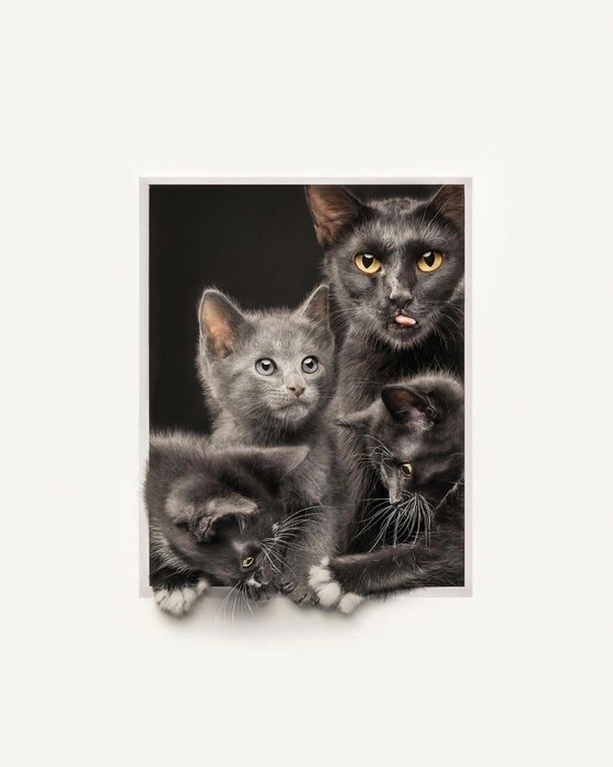 Источник: Katie Brockman / Pet Photography Awards&nbsp;— 2025