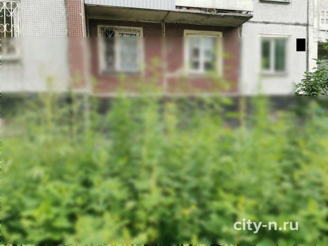 Источник: www.city-n.ru