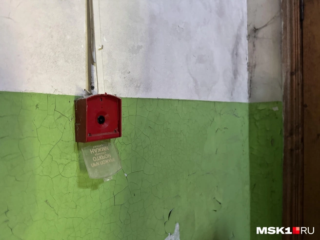 Источник: Алина Мельникова / MSK1.RU