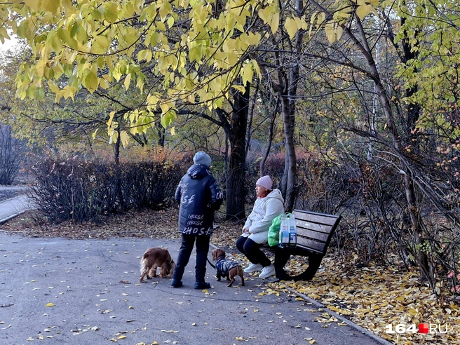 Местные жители часто встречаются на вечерних променадах | Источник: Виктория Федорова / 164.RU