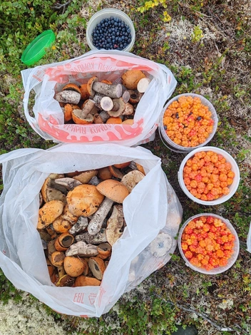 Источник: Александр Обрядин